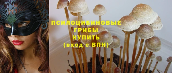 прущие крисы Армянск