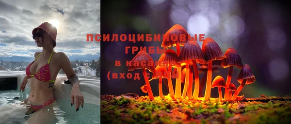 прущие крисы Армянск